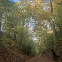 IMG_8261